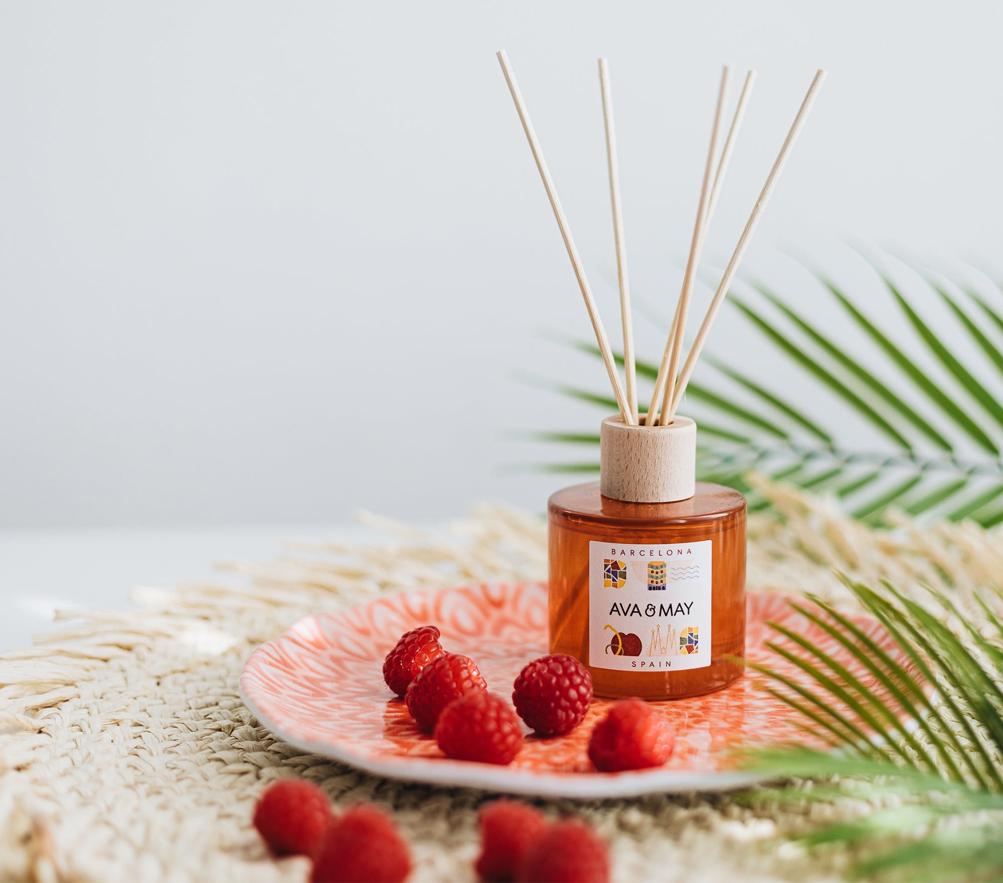 Set Summer Favorites