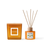 Set Mango Sorbet Home Fragrance