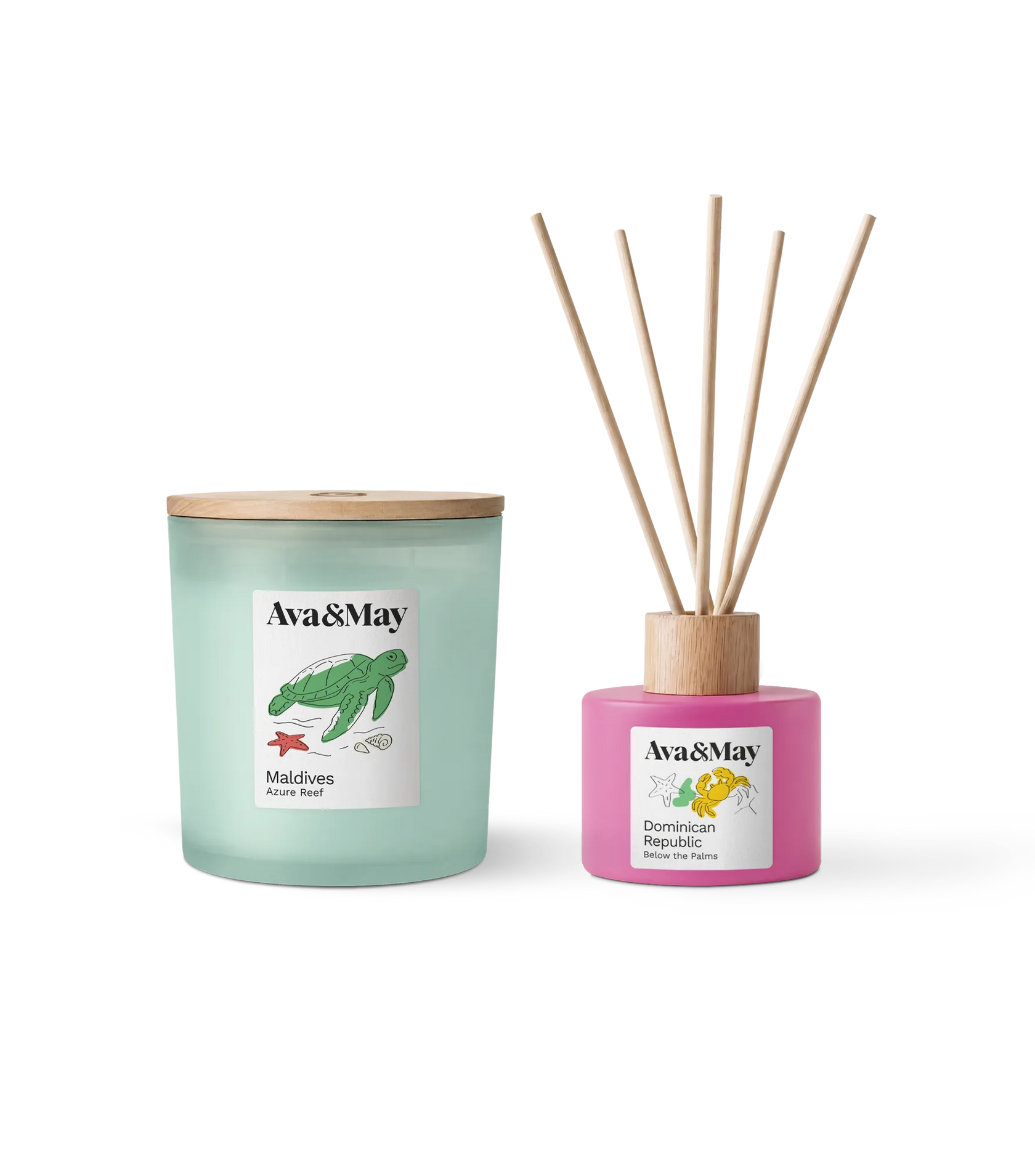 Set Tropical Bliss