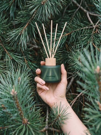 Diffuseur de parfum Winter Pine