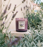 Maxi bougie parfumée Dubrovnik