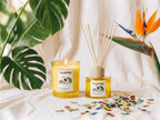 Set Rio de Janeiro Home Fragrance