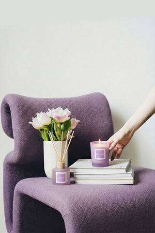 Set XOXO Violet